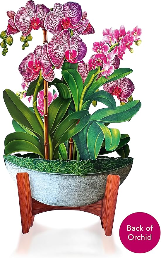 Freshcut Paper Pop Up Cards, Orchid Oasis, 12 Inch Life Sized Forever Flower Bouquet 3D Popup Greeting Card, Birthday Cards, Get Well Gifts, Blank Notecard & Envelope