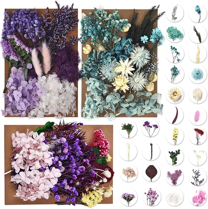 DALARAN 3 Pack Real Dried Pressed Leaf Flowers-Multiple Colorful Pressed Flowers Daisies Hydrangeas for Craft Resin Jewelry Making Art Craft DIY