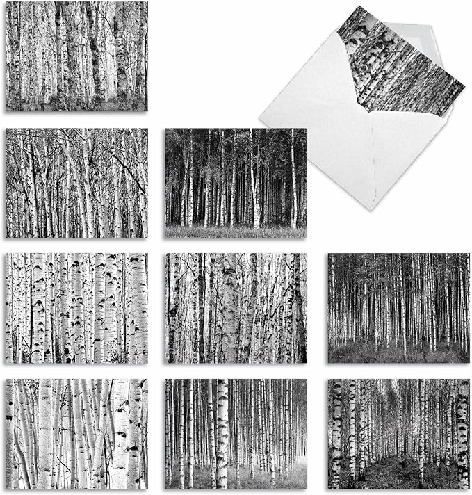 The Best Card Company - 10 Blank Note Cards with Envelopes (4 x 5.12 Inch) - Black & White Photos, Bulk Boxed Set - Whitewoods M6451OCB