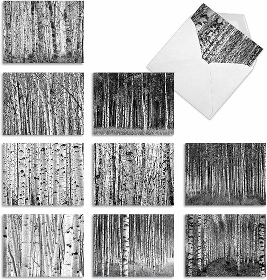 The Best Card Company - 10 Blank Note Cards with Envelopes (4 x 5.12 Inch) - Black & White Photos, Bulk Boxed Set - Whitewoods M6451OCB
