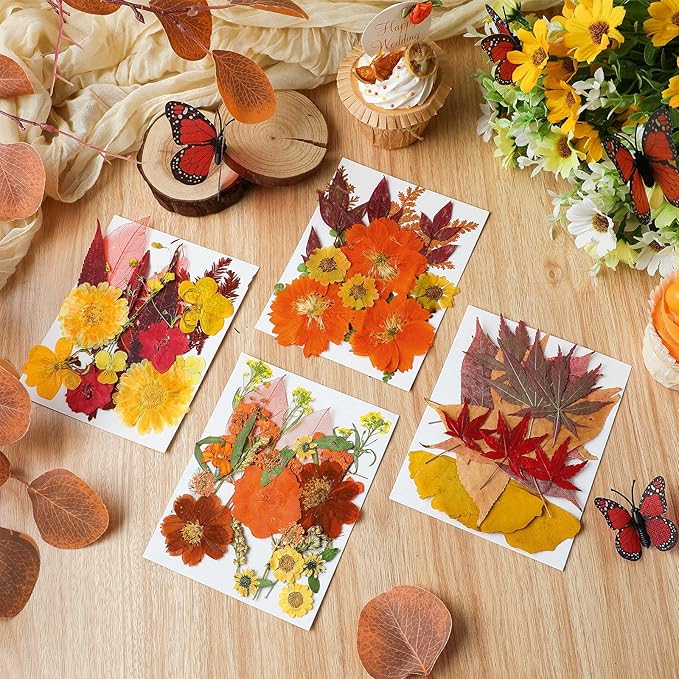Nuanchu Fall Pressed Flowers Bulk Dried Flower for Crafts Autumn Orange Dried Wildflowers Natural Leave with Tweezer Fall Craft Supplies for Resin Mold Scrapbooking Nail Soap Making DIY Art Crafts