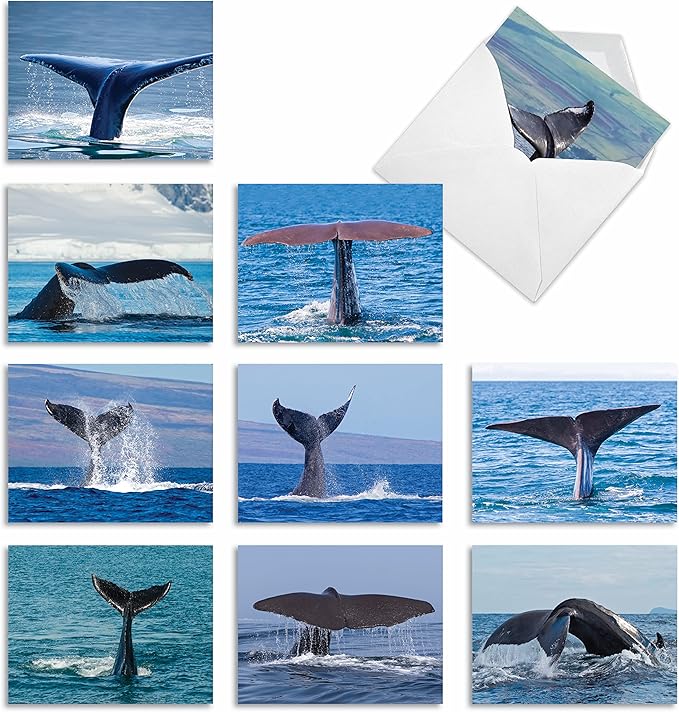 The Best Card Company - 10 All Occasion Blank Cards (4 x 5.12 Inch) - Nautical, Ocean, Sea Life Assortment of Notecards - Tales AM6839OCB-B1x10
