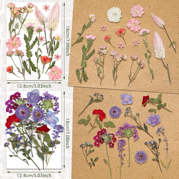 Nuanchu Pressed Flowers Bulk Dried Flower for Crafts Resin Real Dried Wildflowers Leave Natural with Tweezer for Christmas Craft Supplies Resin Mold Scrapbooking Nail Soap Candle Cake Card Making DIY