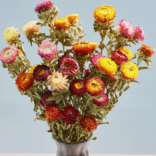 12Pcs Natural Dried Daisy Flowers Stems - Real Natural Dried Flowers Bouquet for Vase, Farmhouse Rustic Wedding Home Decor, DIY Handmade Dry Flower Arrangement, Gardening, Gift, Multi-Colored