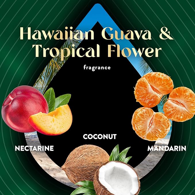 Air Wick Scented Oils Plug In Scented Oil Refill,Hawaiian Guava & Tropical Flower, 5 ct