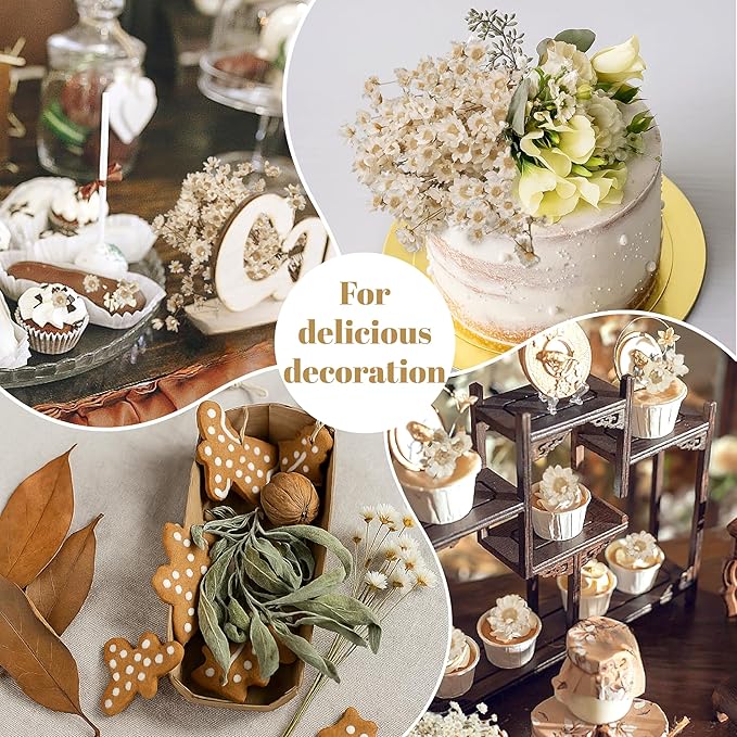 300 PCS Natural Dry Flowers Brazilian Small Star Daisy,13'' White Mini Daisy Chamomile, Dried Daisy Flowers Bouquet for Wedding, Home Decorations, Christmas, Floral Arrangements