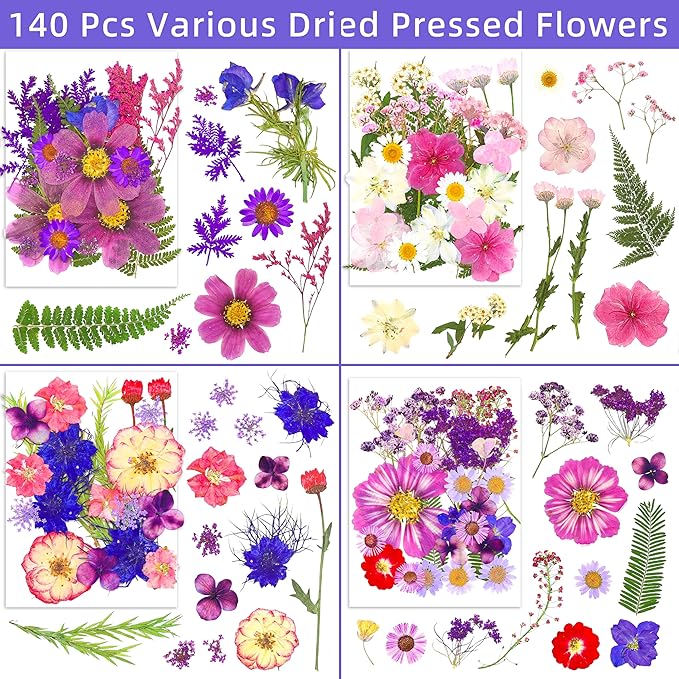 140+Pcs Real Dried Pressed Flowers Leaves Petals for Crafts-Beautiful Pressed Flowers Daisies for Resin Jewellery, Pressed Flowers Nail Pendant Crafts Making Craft DIY Accessories with 1pcs Tweezers