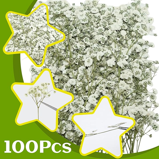 100Pcs White Baby’s Breath Dried Pressed Flowers - 4'' Real Natural Flat Flower Bulk Pack for Resin Art, DIY Craft, Wedding Invitations, Scrapbooking, Soap, Frame, Cake & Home Decoration