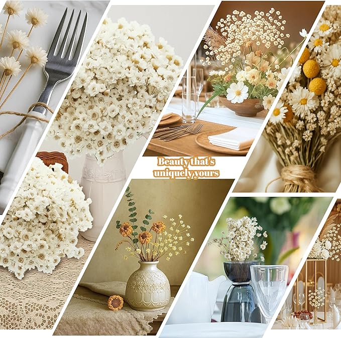 300 PCS Natural Dry Flowers Brazilian Small Star Daisy,13'' White Mini Daisy Chamomile, Dried Daisy Flowers Bouquet for Wedding, Home Decorations, Christmas, Floral Arrangements