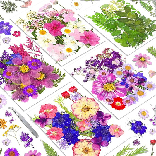 140+Pcs Real Dried Pressed Flowers Leaves Petals for Crafts-Beautiful Pressed Flowers Daisies for Resin Jewellery, Pressed Flowers Nail Pendant Crafts Making Craft DIY Accessories with 1pcs Tweezers