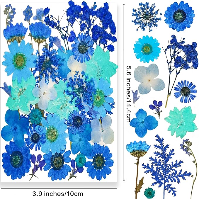 14 Types 37pcs Blue Dried Pressed Flowers for Resin Molds,YouthBro Real Natural Pressed Flowers for DIY Art Crafts,Candle Making, Nails Décor,Soap Making, Phone Case