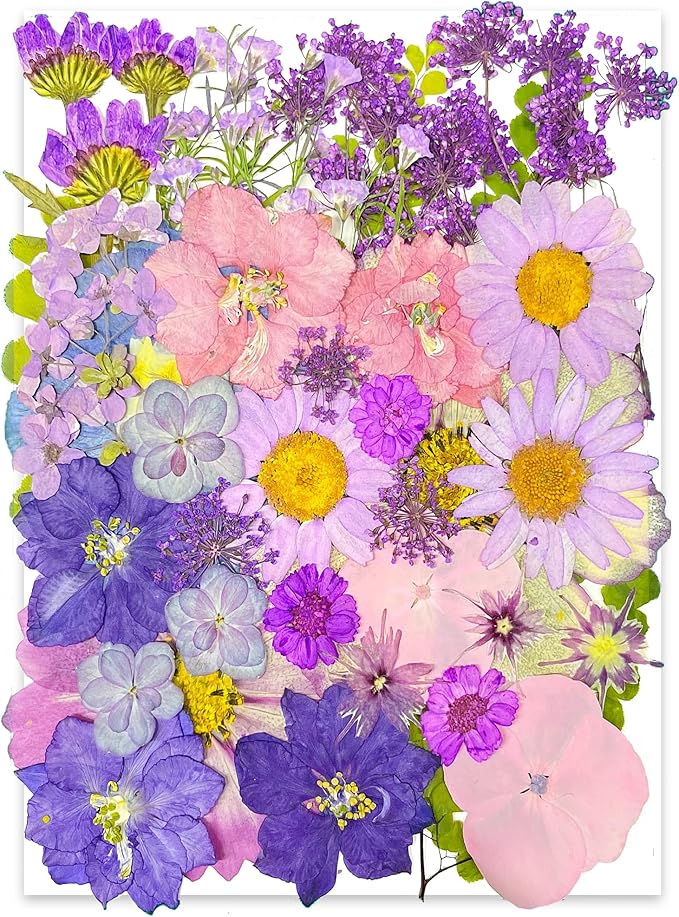 YouthBro 40pcs Purple Dried Pressed Flowers for Resin Molds,Real Natural Pressed Flowers for DIY Art Crafts,Candle Making, Nails Décor,Soap Making, Phone Case