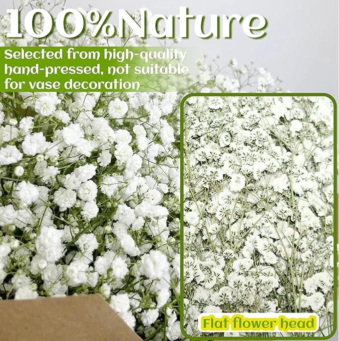 100Pcs White Baby’s Breath Dried Pressed Flowers - 4'' Real Natural Flat Flower Bulk Pack for Resin Art, DIY Craft, Wedding Invitations, Scrapbooking, Soap, Frame, Cake & Home Decoration