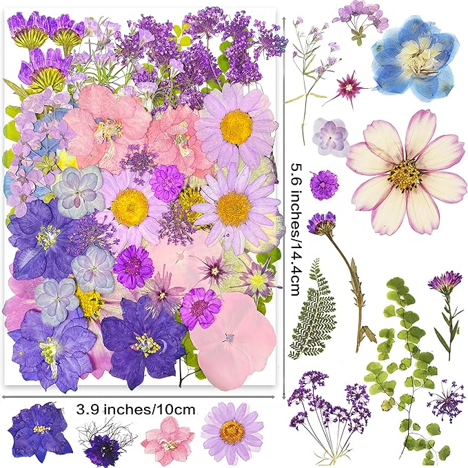 YouthBro 40pcs Purple Dried Pressed Flowers for Resin Molds,Real Natural Pressed Flowers for DIY Art Crafts,Candle Making, Nails Décor,Soap Making, Phone Case