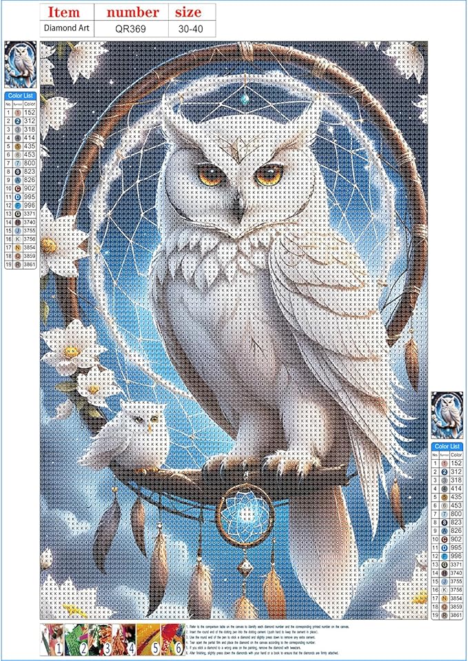 QINRUBB DIY White Owl Diamond Art Kit for Adults Beginners, Full Drill Dream Catcher Diamond Painting Kits, 5D Dreamland Owl Painting by Numbers DIY Craft Kits for Home Wall Decor 12x16 inch