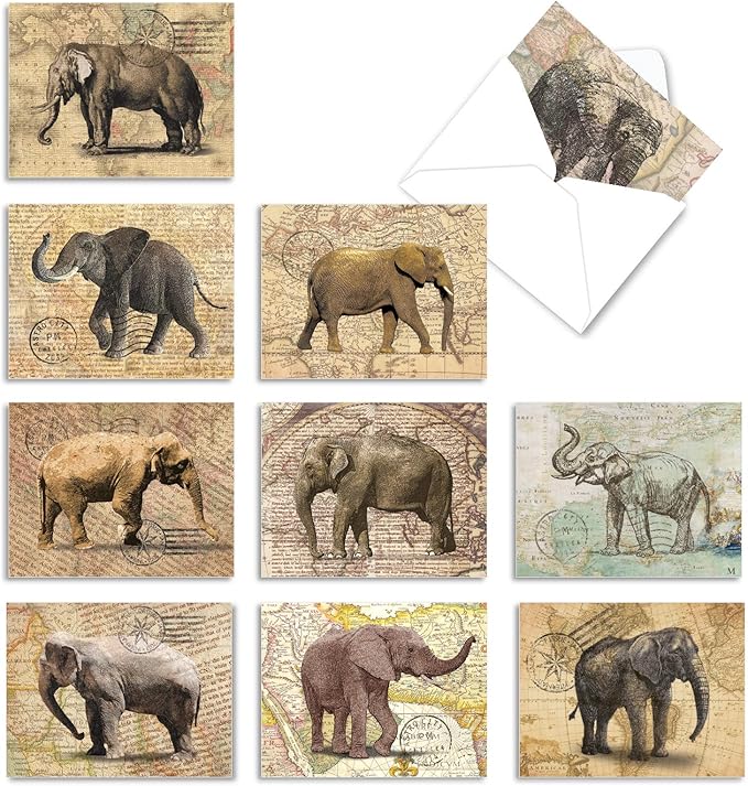 The Best Card Company - 10 Blank Animal Cards Boxed (4 x 5.12 Inch) - Assorted Pets, Zoo, Wildlife Cards for Kids - Trunk Mail M9636OCB