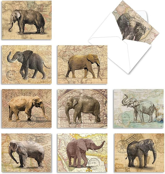 The Best Card Company - 10 Blank Animal Cards Boxed (4 x 5.12 Inch) - Assorted Pets, Zoo, Wildlife Cards for Kids - Trunk Mail M9636OCB