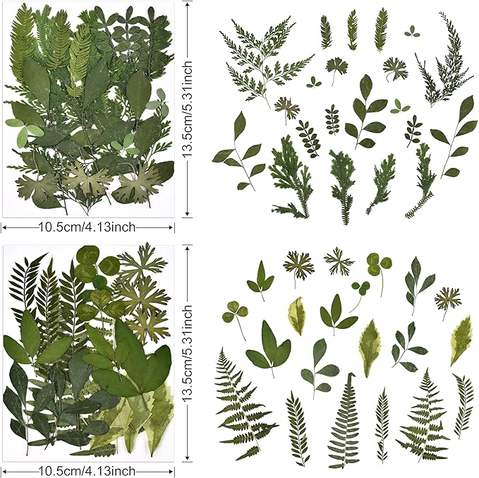 DALARAN 42 PCS Dried Flowers for Craftsl Dried Pressed Leaves Natural Leaves for Pressed Leaf Art Craft DIY ,14 Styles