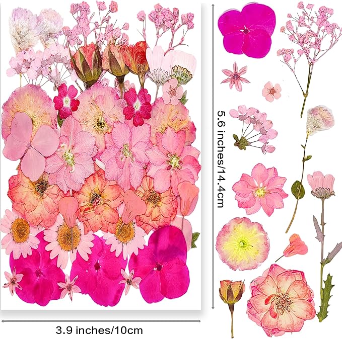 15 Types 37pcs Pink Dried Pressed Flowers for Resin Molds,Real Natural Pressed Flowers for DIY Art Crafts,Candle Making, Nails Décor,Soap Making, Phone Case