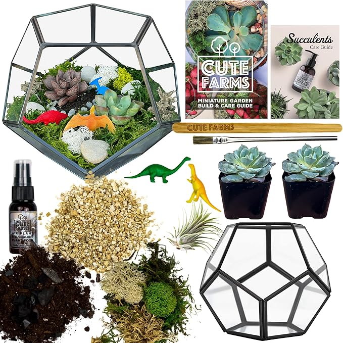 Cute Farms Glass Terrarium Kit | Just Add Your Own Plants (Geometric Glass + Live Plants)