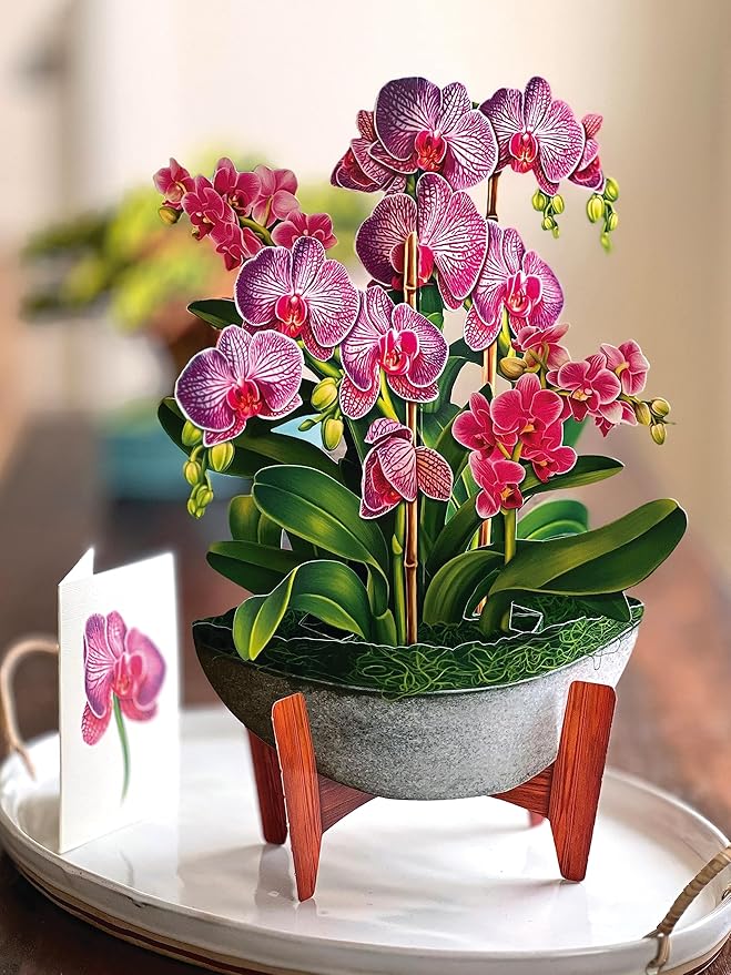 Freshcut Paper Pop Up Cards, Orchid Oasis, 12 Inch Life Sized Forever Flower Bouquet 3D Popup Greeting Card, Birthday Cards, Get Well Gifts, Blank Notecard & Envelope