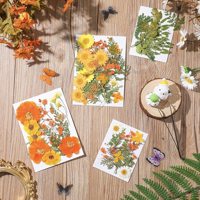 Nuanchu Dried Flower for Crafts Resin Pressed Flowers Bulk Real Dried Wildflowers Leave Natural with Tweezer for Resin Mold Scrapbooking Nail Soap Candle Cake Card Making DIY Christmas Craft Supplies
