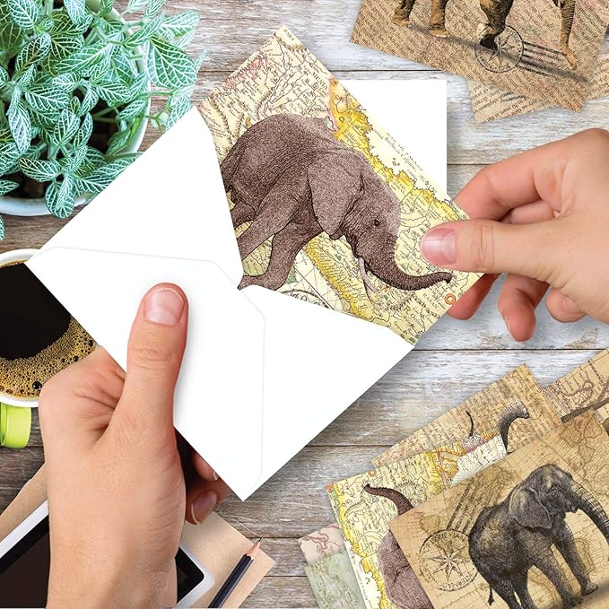 The Best Card Company - 10 Blank Animal Cards Boxed (4 x 5.12 Inch) - Assorted Pets, Zoo, Wildlife Cards for Kids - Trunk Mail M9636OCB