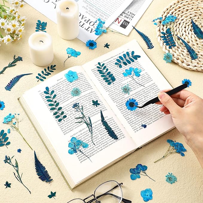 Fabbay 200 Pcs Dried Pressed Flowers Real Dry Natural Flower Leaf Dried Flowers for Resin Pressed Flower Kit for Plant Herbarium Scrapbooking DIY Candle Crafts (Blue)