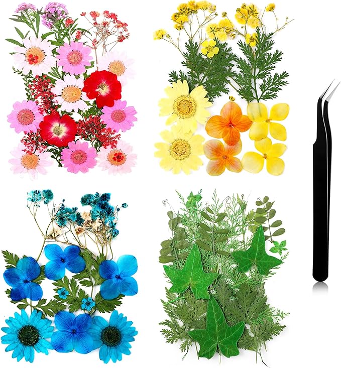 Nuanchu Dried Pressed Flowers for Crafts Resin Christmas Dried Flowers Bulk Real Natural Pressed Wildflowers with Tweezer for Resin Mold Scrapbooking Nail Soap Candle Cake Card Making DIY Supplies