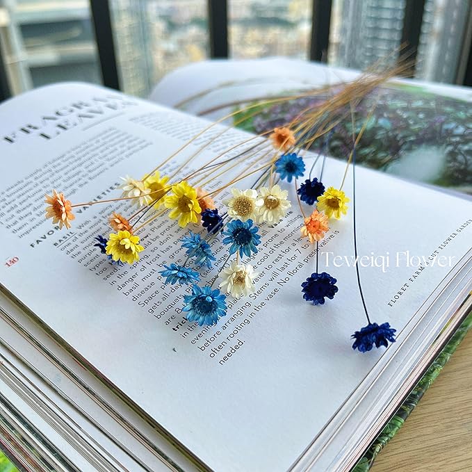 Natural - Dried - Flowers Brazilian Small Star Daisy Dried Decorative Mini Chamomile Bouquet for Wedding Floral Arrangements Home Decorations Valentine's Day Gifts (200 Stems) (Indigo Blue)